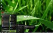 Aston2 Menu