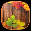 Autumn Time cho Android