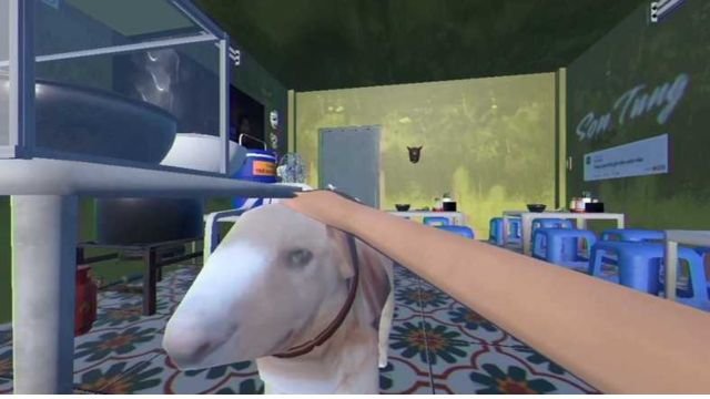 Chăm sóc Cậu Vàng - Chú chó trung thành luôn ở bên Brother Hai