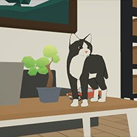 Cat Chaos