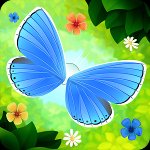 Flutter cho Android