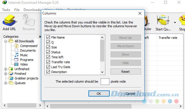 Tuỳ chỉnh cột của IDM