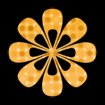 Magic Petals Fiesta