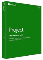 Microsoft Project 2016/2019
