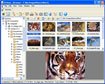 NConvert for Mac