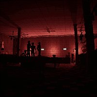 Night Crew