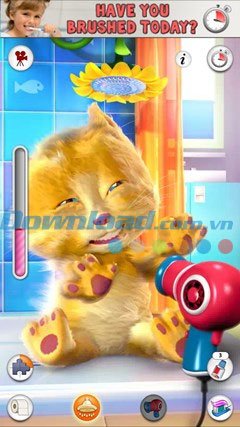 Talking Ginger 2