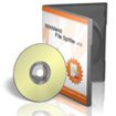 WinMend File Splitter